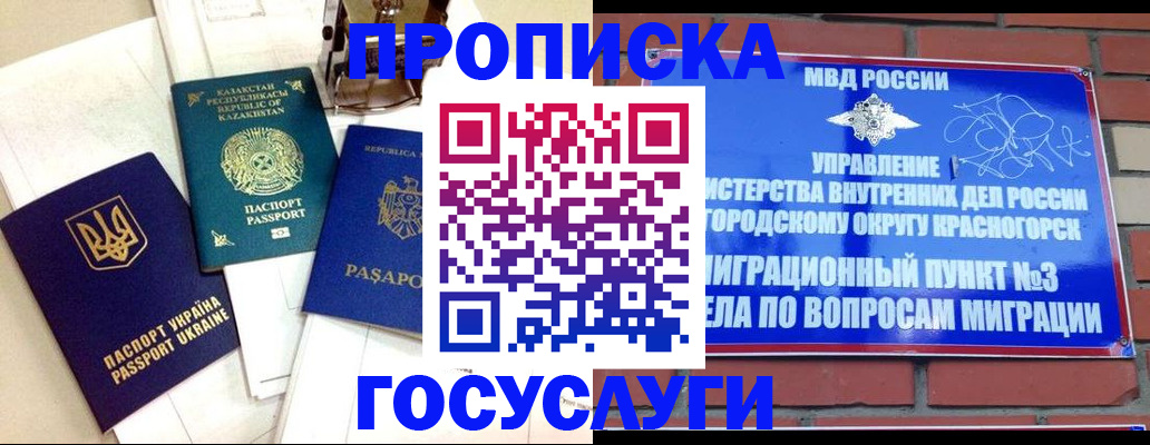 купить прописку в Белой Холунице